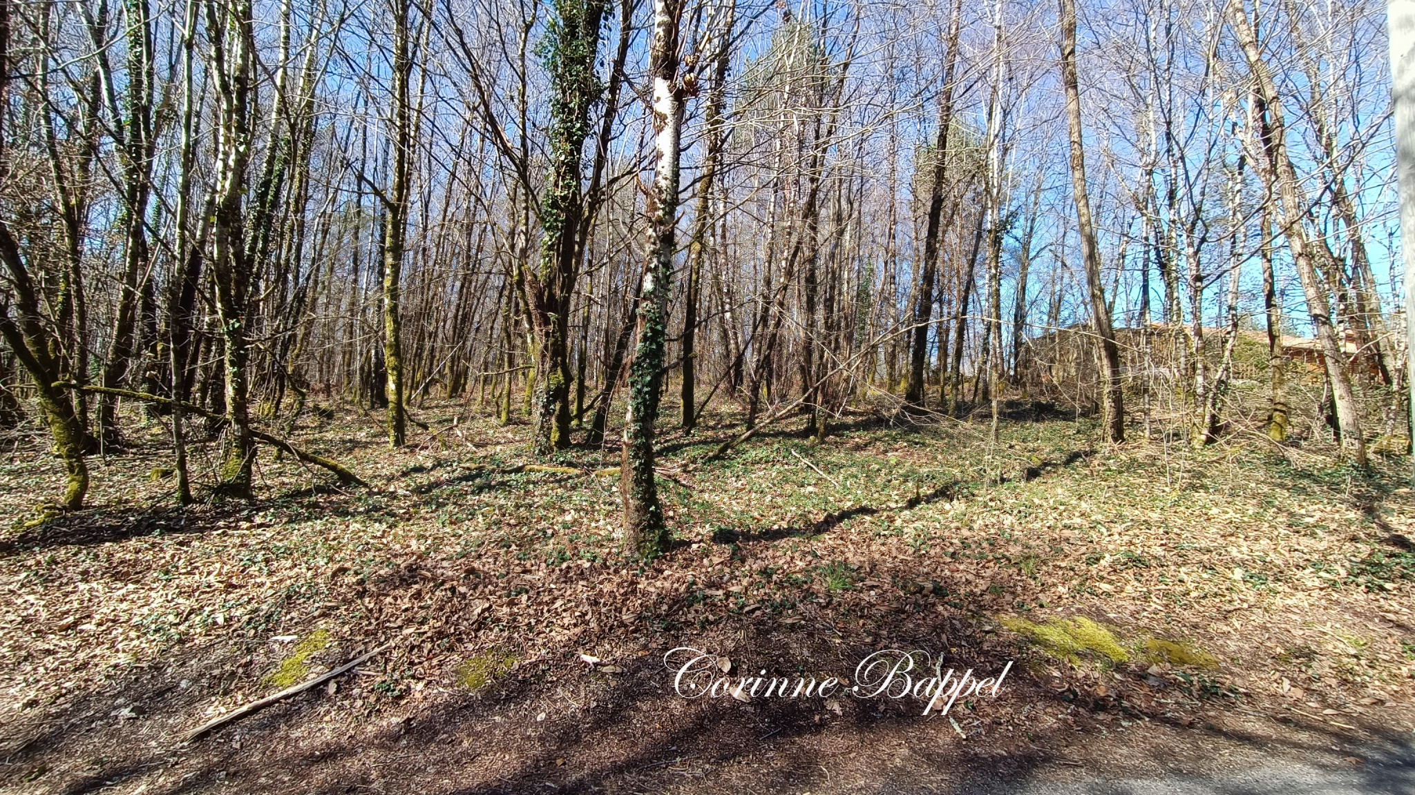 Agence immobilière de IMOCONSEIL