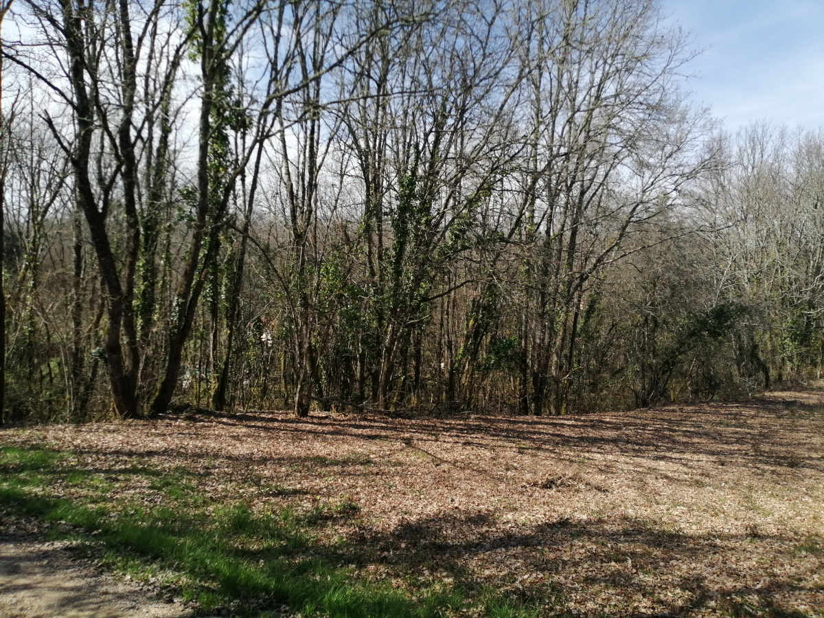 Agence immobilière de IMOCONSEIL