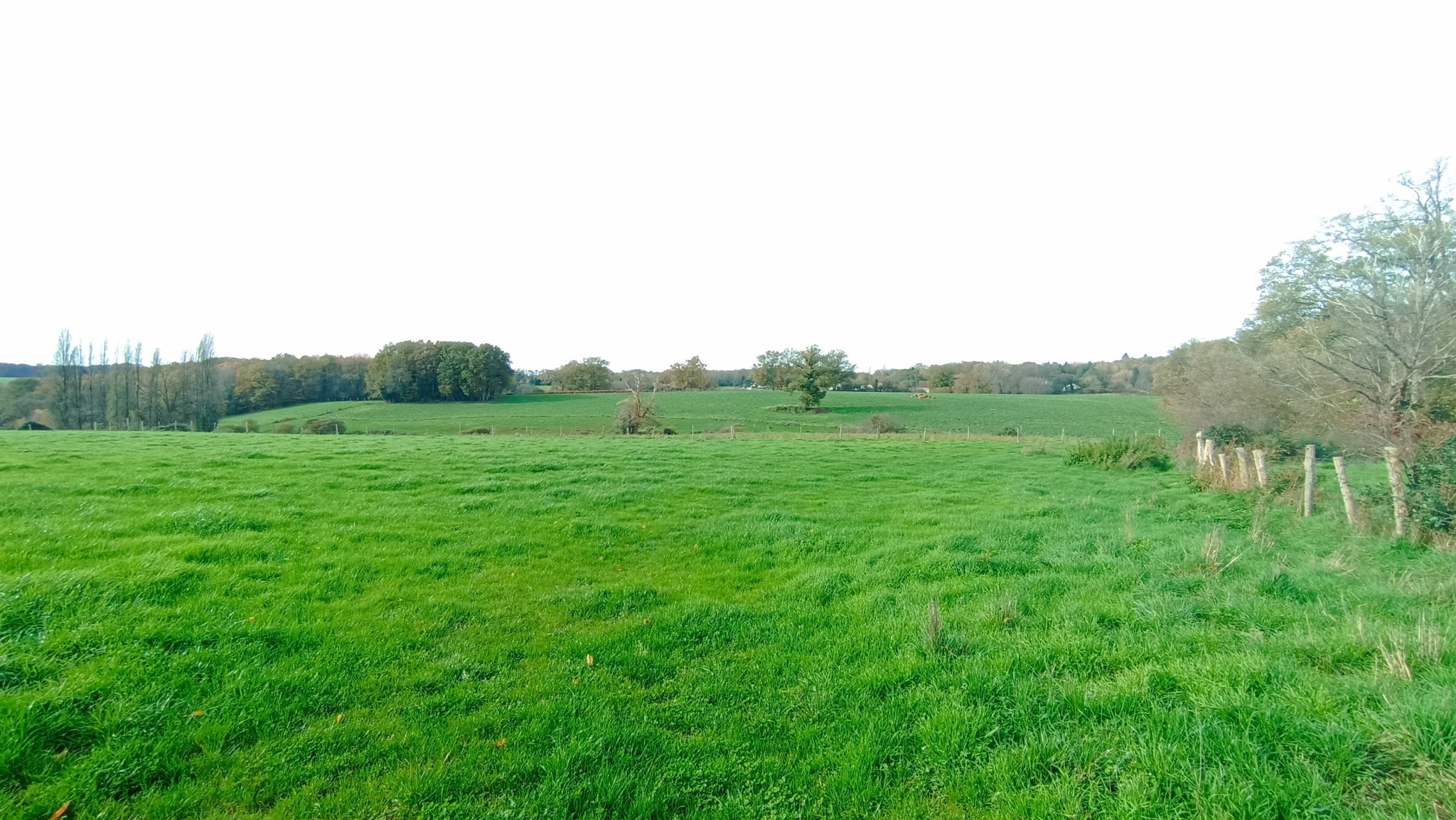 Agence immobilière de IMOCONSEIL