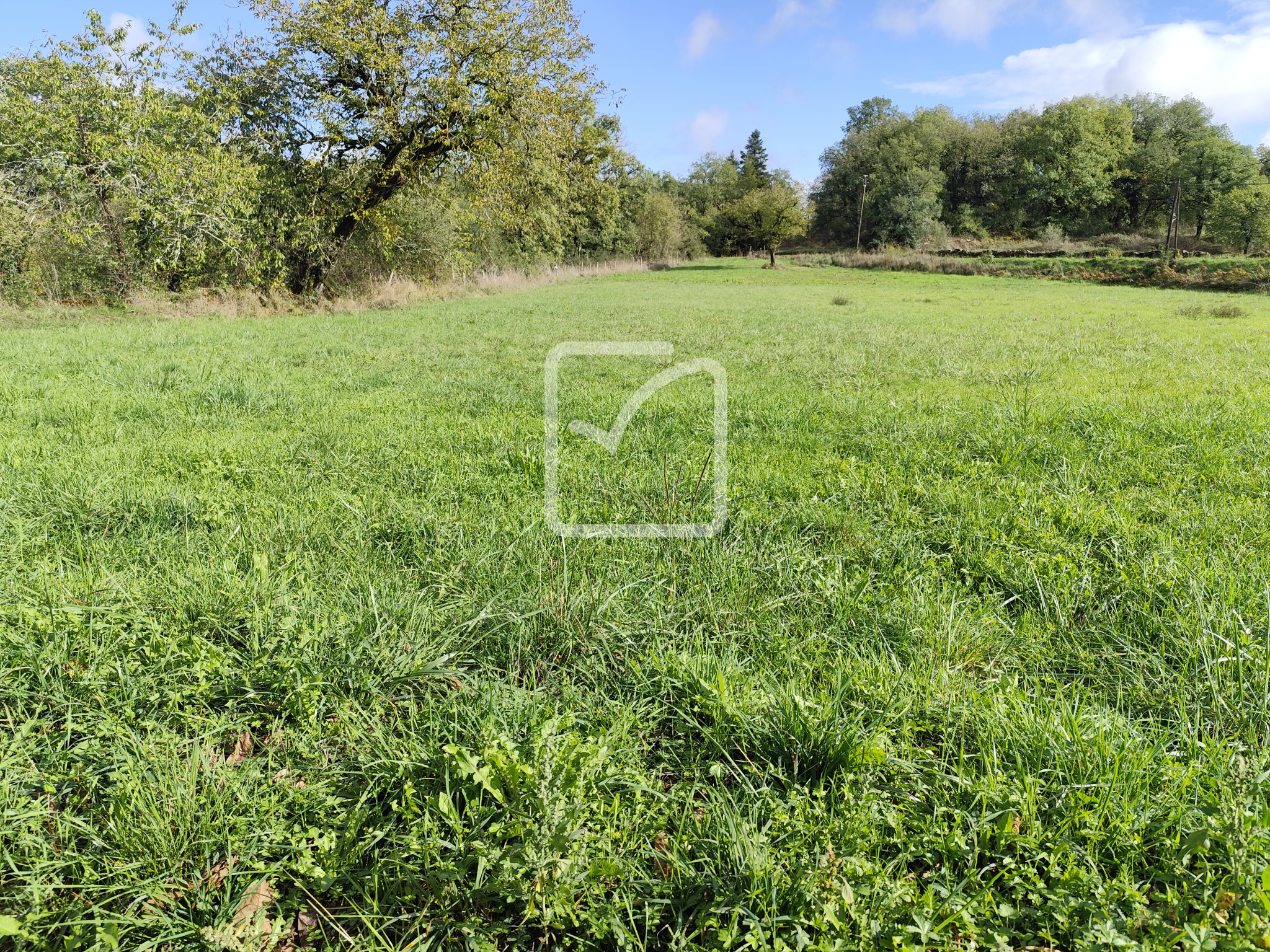 Terrain constructible à vendre à Chartrier ferriere, 3 603 m² – photo 1 sur 2