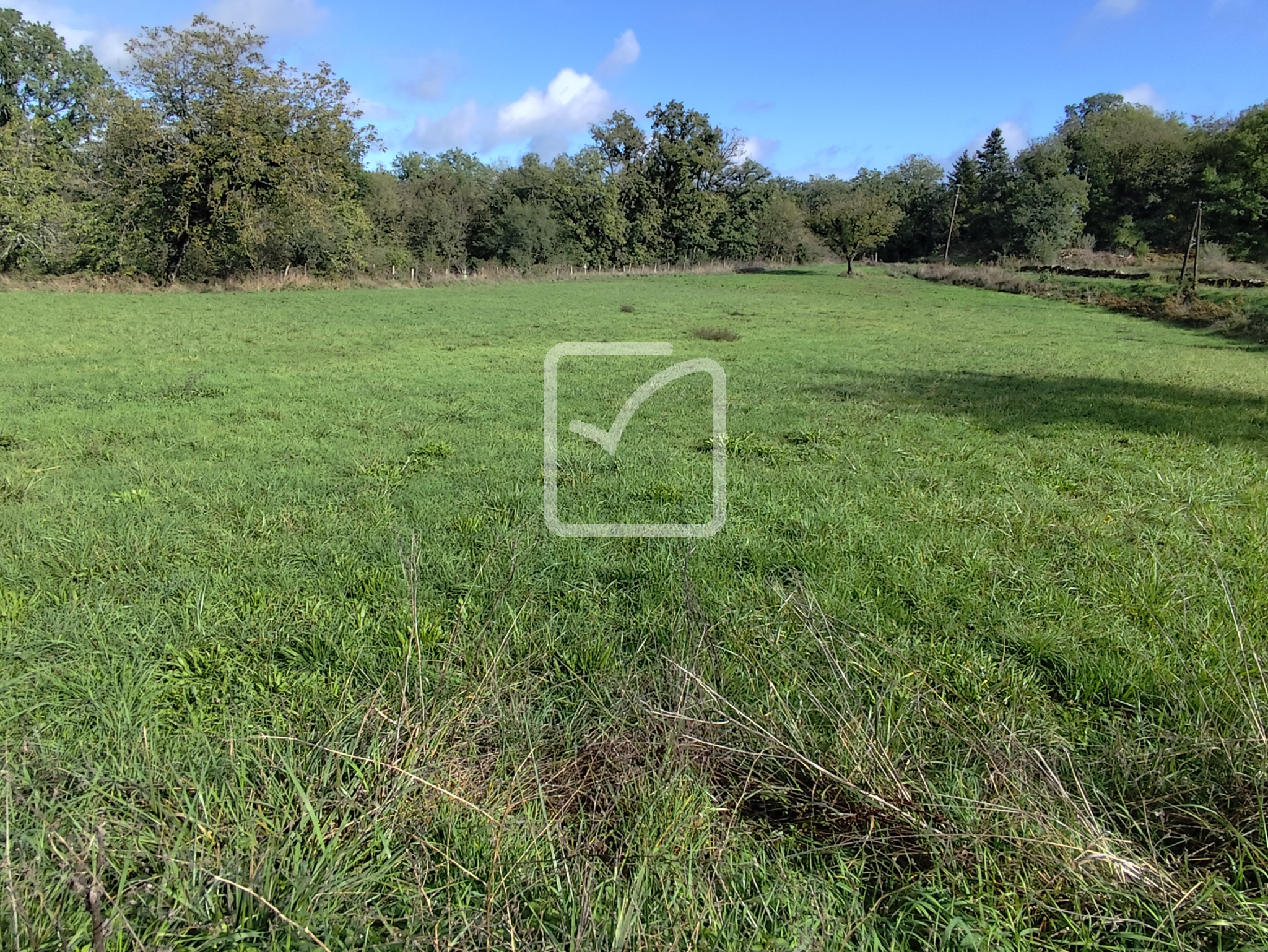 Terrain constructible à vendre à Chartrier ferriere, 3 603 m² – photo 2 sur 2