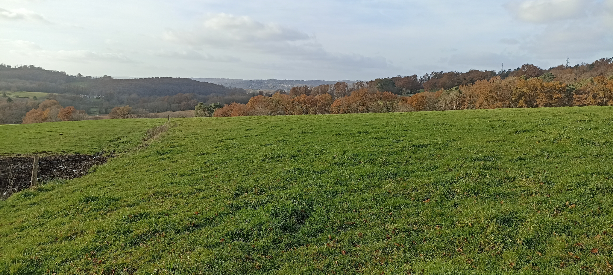 Agence immobilière de IMOCONSEIL